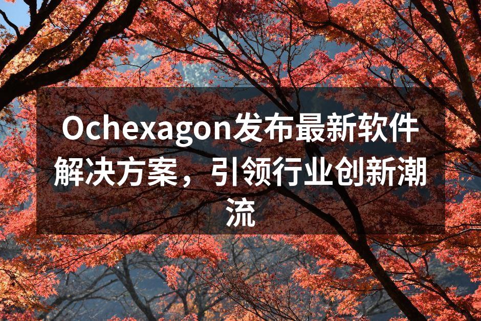Ochexagon发布最新软件解决方案，引领行业创新潮流
